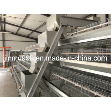 Automatic Chicken Cage System for Hot Sell
